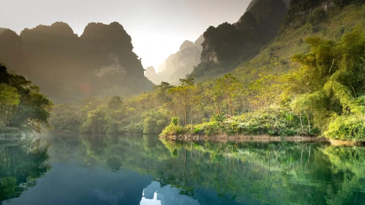高性能高效可靠性